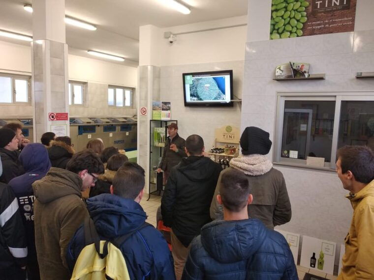 teramo-private-oil-mill-tour-and-guided-tasting