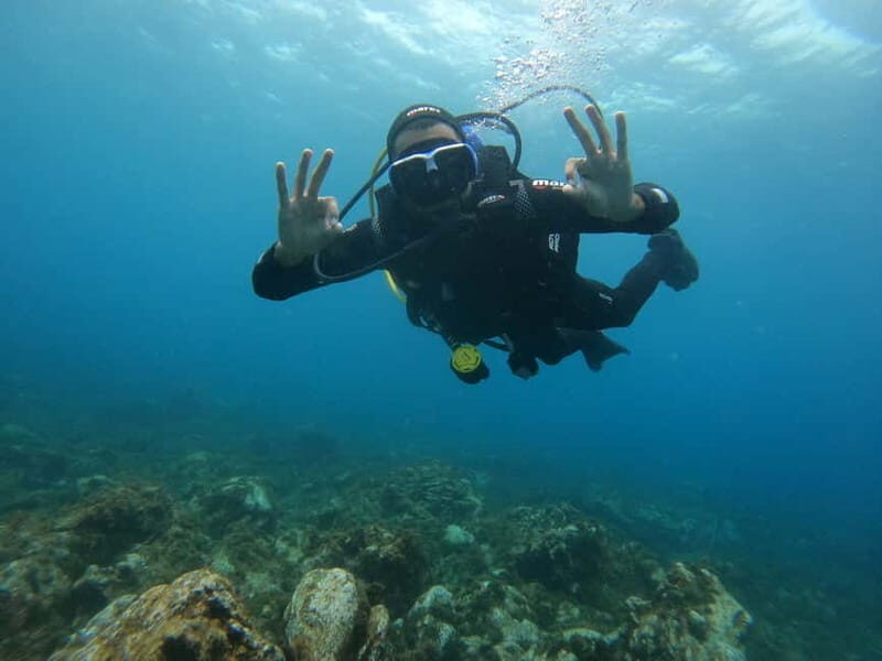 Terceira Azores: Scuba-Double dive Trip(certified Divers) - Key Points