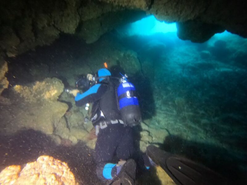 Terceira Azores: Scuba-Double dive Trip(certified Divers) - Who Should Consider This Tour?