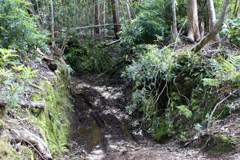 terceira-island-full-day-mud-adventure-traditional-lunch