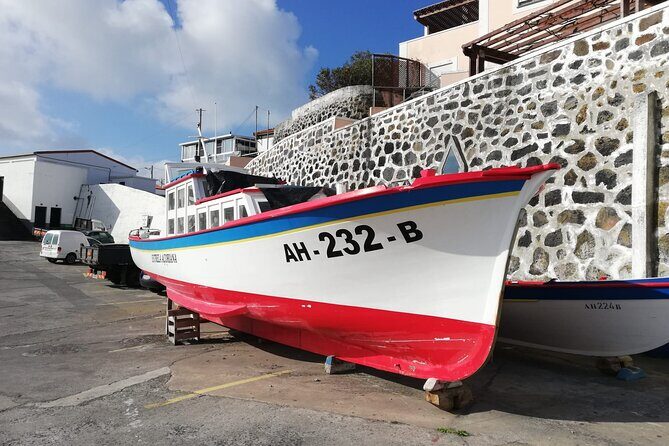 Terceira Island full day tour - Who Should Consider This Tour?