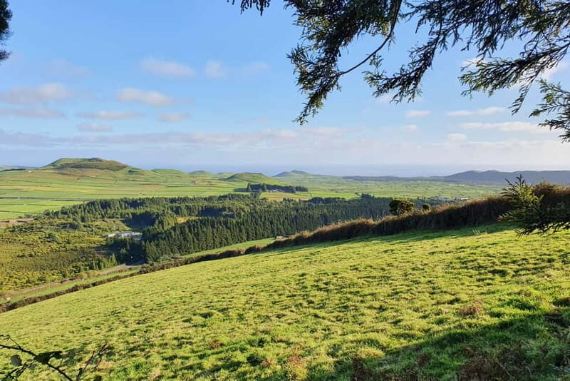 Terceira Island: Half-Day Hiking with Cheese Tasting - Key Points