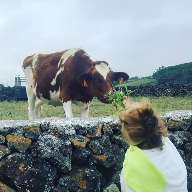 terceira-island-half-day-van-tour-on-the-west-coast