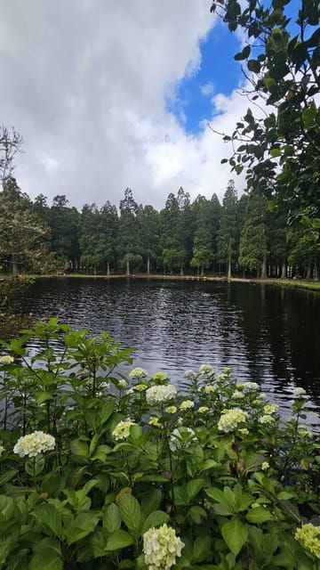 terceira-island-half-day-van-tour-to-the-caves