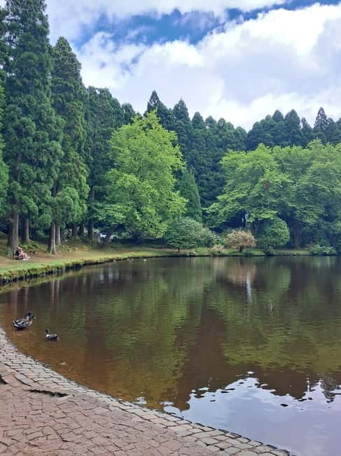 Terceira Island: Highlights Tour with Traditional Lunch - Frequently Asked Questions  