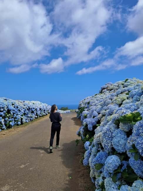 Terceira Island: Highlights Tour with Traditional Lunch - Final Thoughts  