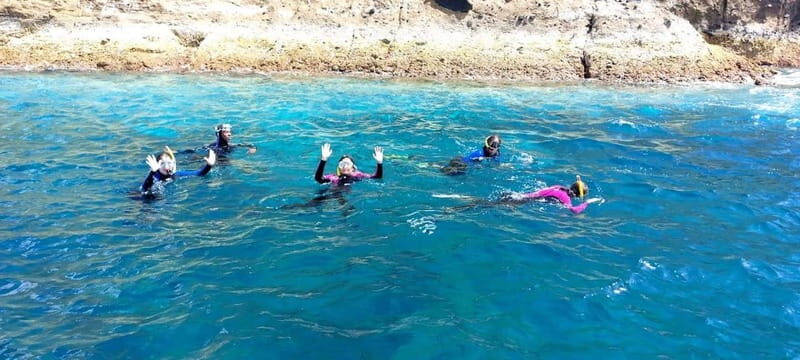 Terceira Island: Ilhéu das Cabras Boat Tour + Snorkeling - Who Will Love This Tour?
