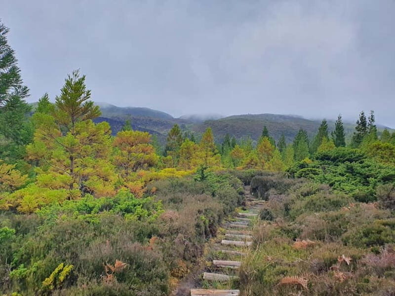 Terceira Island: Mistérios Negros & Mist. Novo Hike w/picnic - An Authentic Journey Through Azorean Natural Beauty