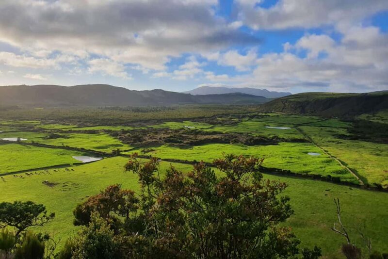 Terceira Island: Passagem das Bestas Hike w/Cheese Tasting - Key Points