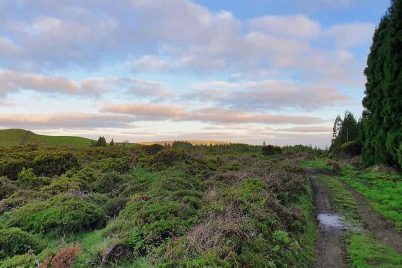Terceira Island: Passagem das Bestas Hike w/Cheese Tasting - Final Thoughts