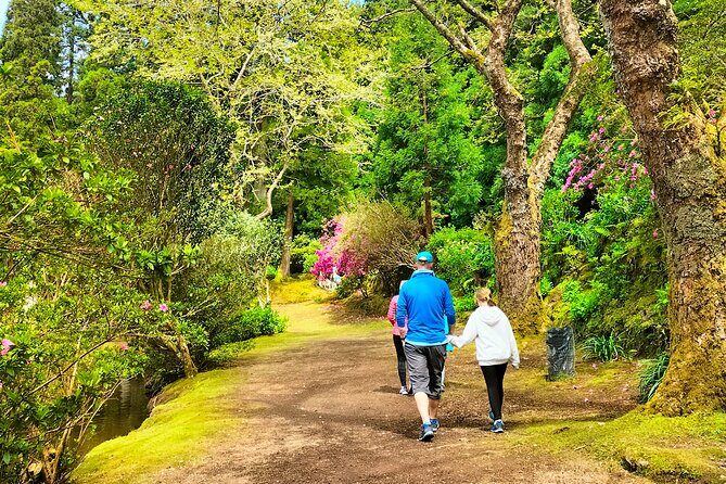 Terceira Island Private Full-Day Slow Tour with Lunch and Pickup - A Detailed Look at the Tour