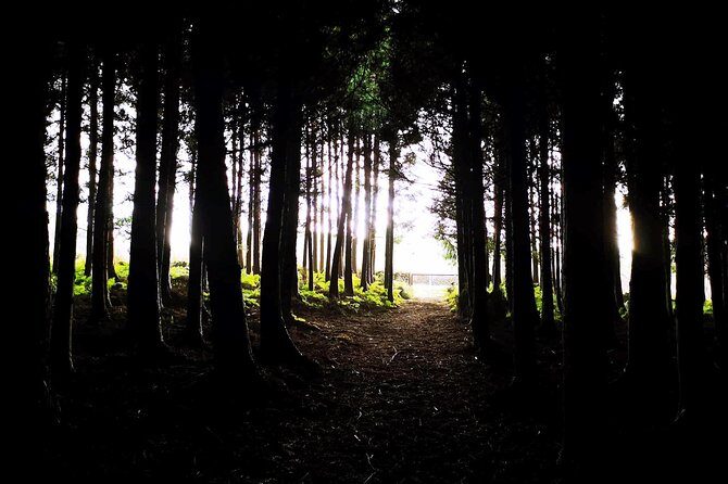 Terceira Island Private Tour: Full-Day - Who Will Love This Tour?