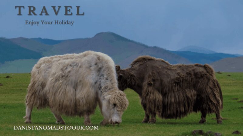 Terelj ,Khar khorum ,Horse ride , Camel ride , Monastery - FAQs