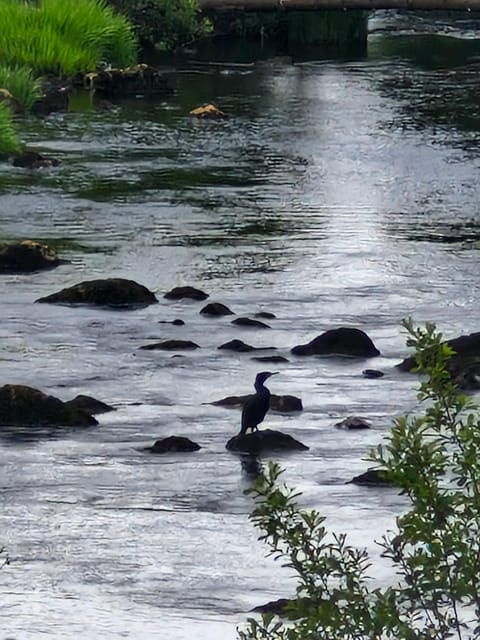 teresas-slieve-league-tour