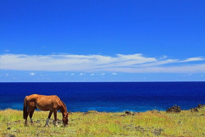 terevaka-private-tour-to-the-highest-point-of-rapa-nui