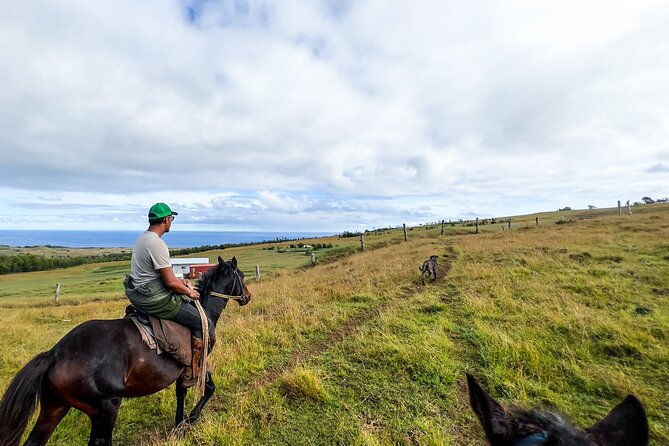 terevaka-private-tour-to-the-highest-point-of-rapa-nui