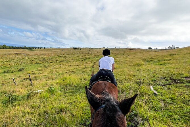 terevaka-private-tour-to-the-highest-point-of-rapa-nui