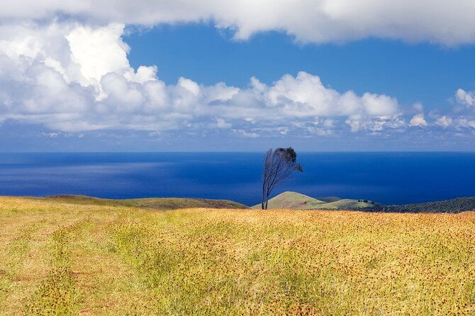 terevaka-private-tour-to-the-highest-point-of-rapa-nui