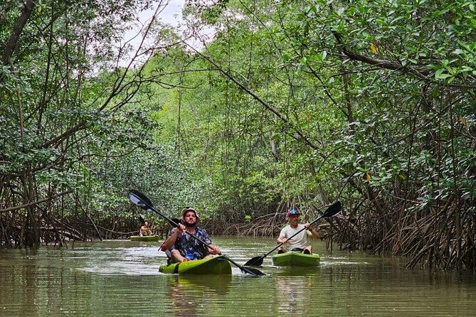 terraba-sierpe-mangrove-tour