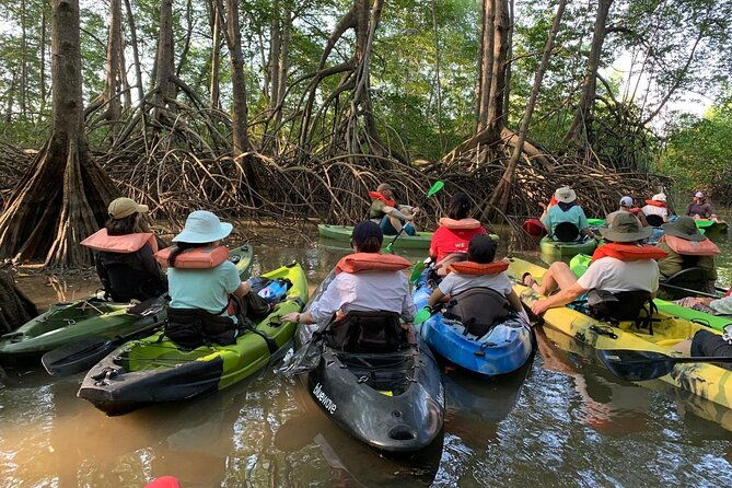 terraba-sierpe-mangrove-tour