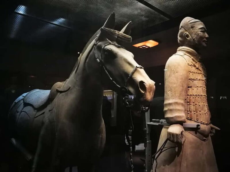 Terracotta Army E Ticket with Optional Transfer or Guide - Key Points
