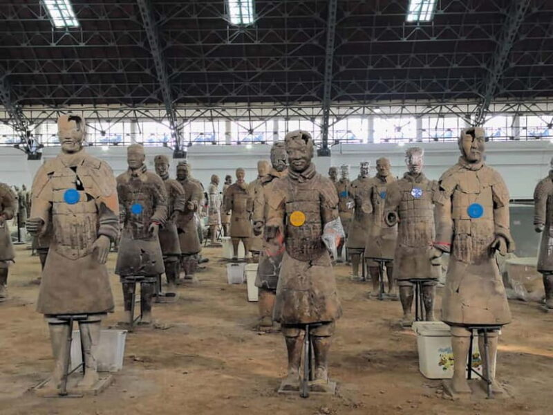 Terracotta Army E Ticket with Optional Transfer or Guide - Who is This Tour Best For?