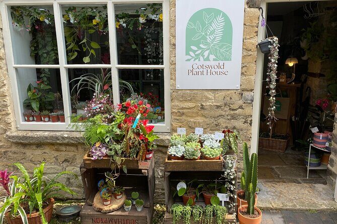 Terrarium Making Experience in Cirencester - Overview of the Experience