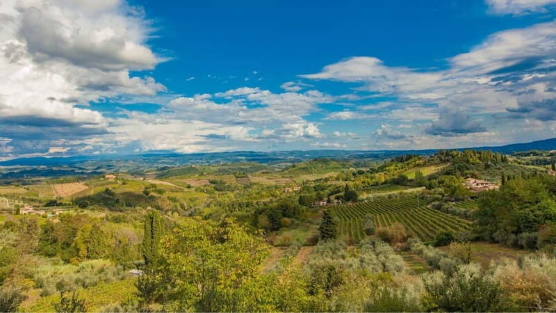Terricciola Valdera E-Bike Tour + Wine Tasting, Photo Shoot - What to Expect from the Tour
