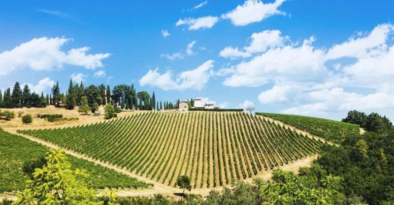 Terricciola Valdera E-Bike Tour + Wine Tasting, Photo Shoot - The Value of the Experience