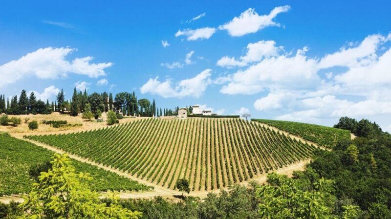 Terricciola Valdera E-Bike Tour + Wine Tasting, Photo Shoot - Final Thoughts