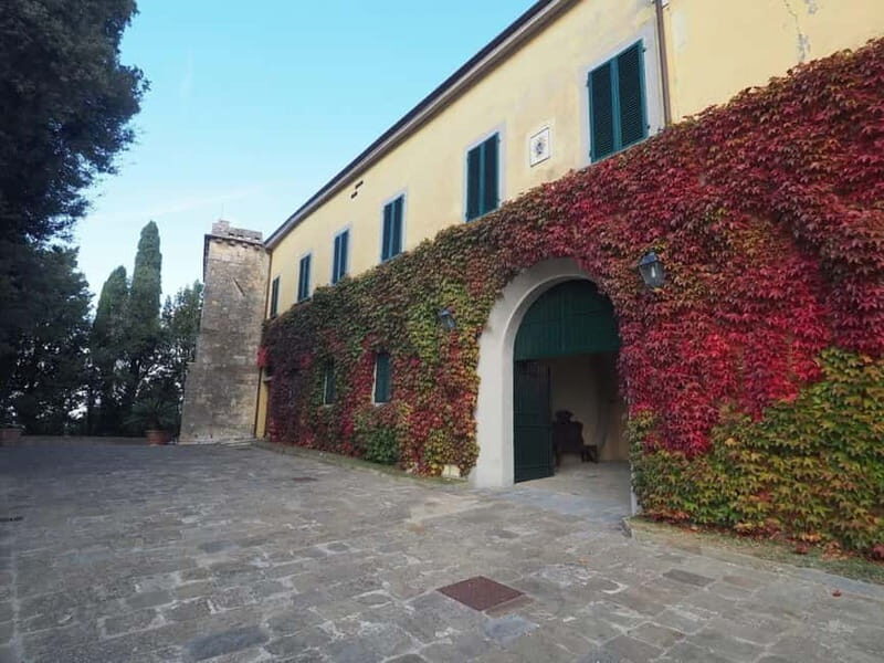 Terricciola:Abbey Tour,Wine Tasting & Tuscan Lunch Near Pisa - Tasting the Flavors of Tuscany