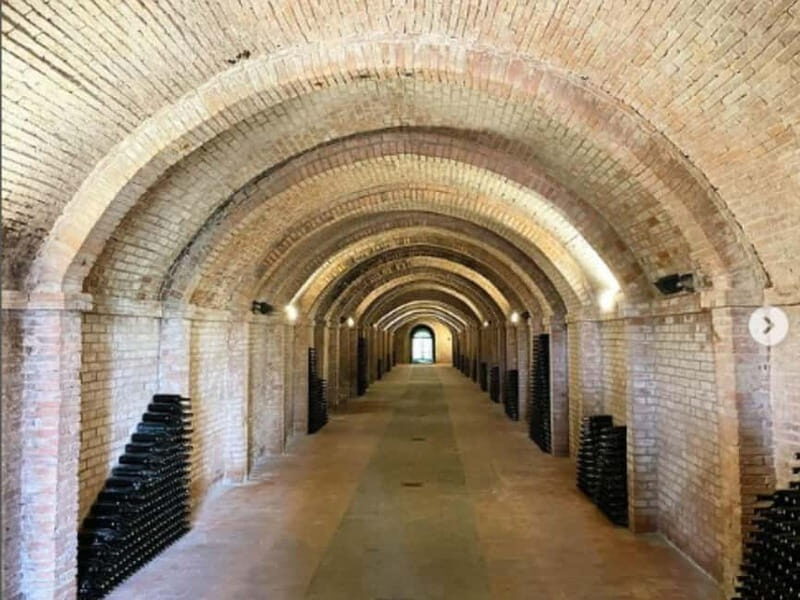 Terricciola:Abbey Tour,Wine Tasting & Tuscan Lunch Near Pisa - Practical Details & Tips