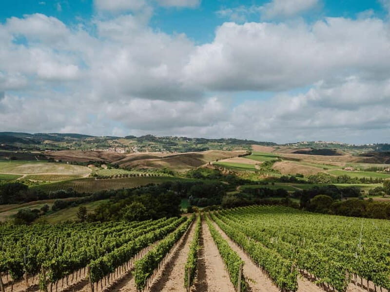 Terricciola:Abbey Tour,Wine Tasting & Tuscan Lunch Near Pisa - FAQ