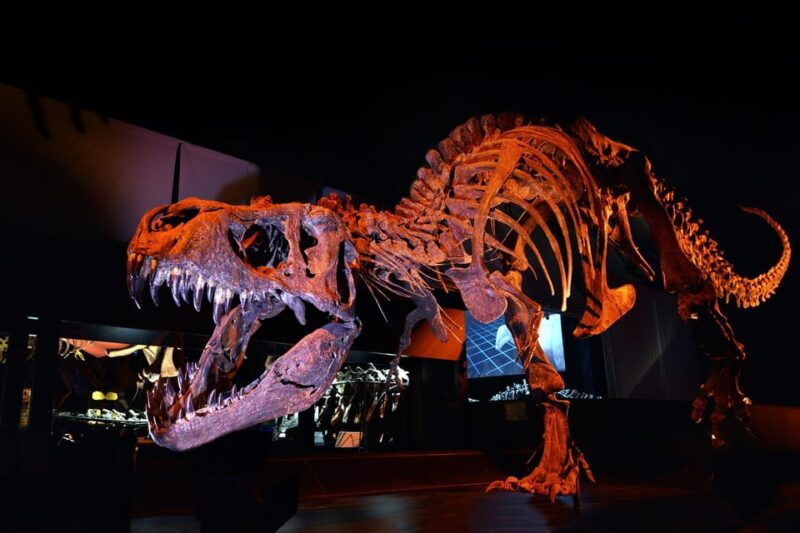 teruel-dinopolis-entry-ticket