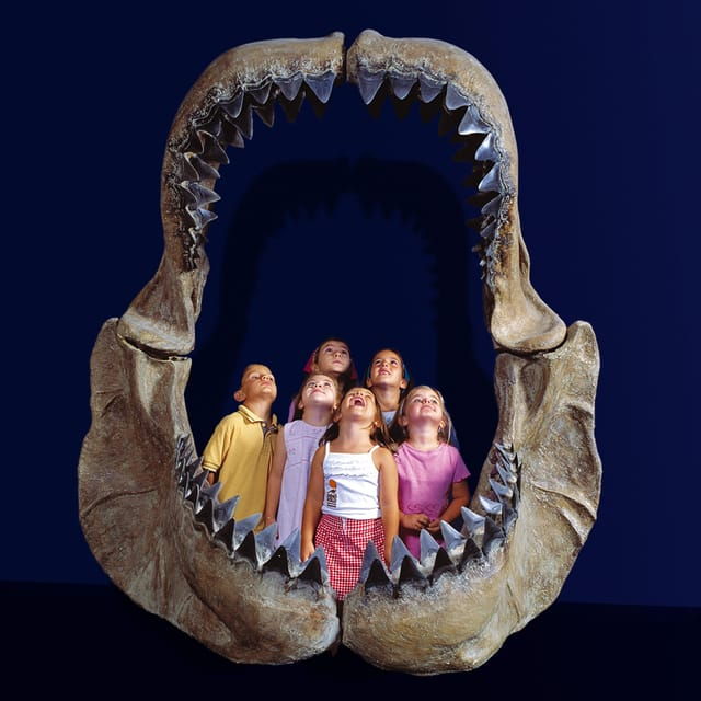 teruel-dinopolis-entry-ticket