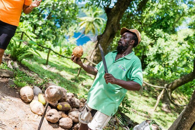 tet-paul-hike-soufriere-catamaran-experience