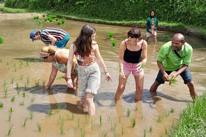 Tetebatu Countryside and Waterfall Day Tour - What’s Included and What’s Not?