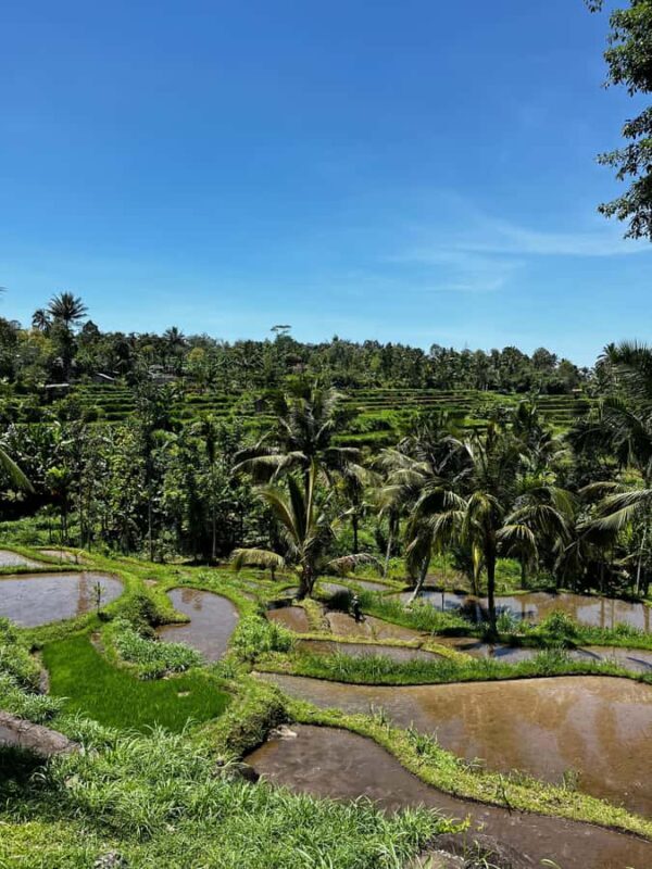 Tetebatu: Guided Village Cycling Tour with Lunch - FAQ