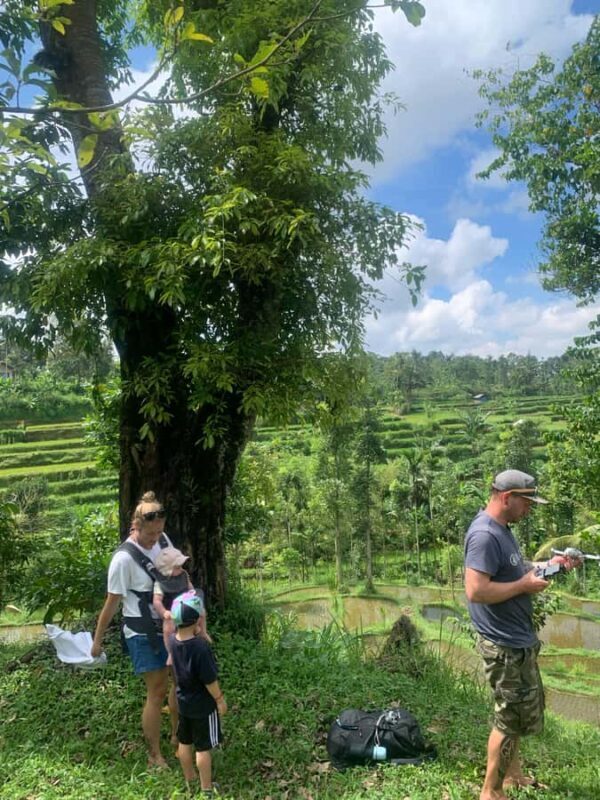 Tetebatu: Jungle, Waterfall, and Village Tour - Who Should Consider This Tour?