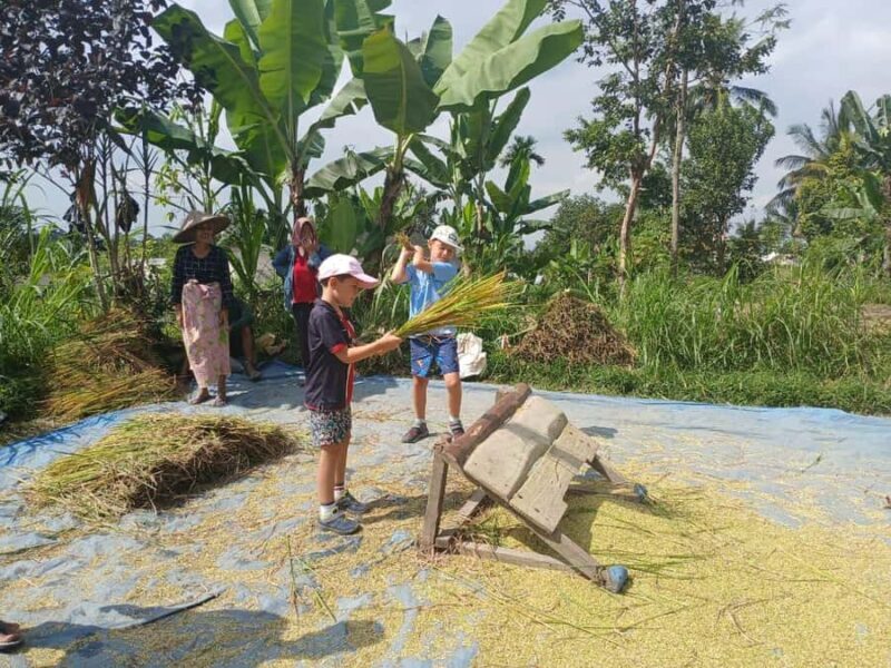 Tetebatu Panorama Walk: Rice Fields, Waterfall & Monkeys - A Deeper Look at the Tetebatu Panorama Walk