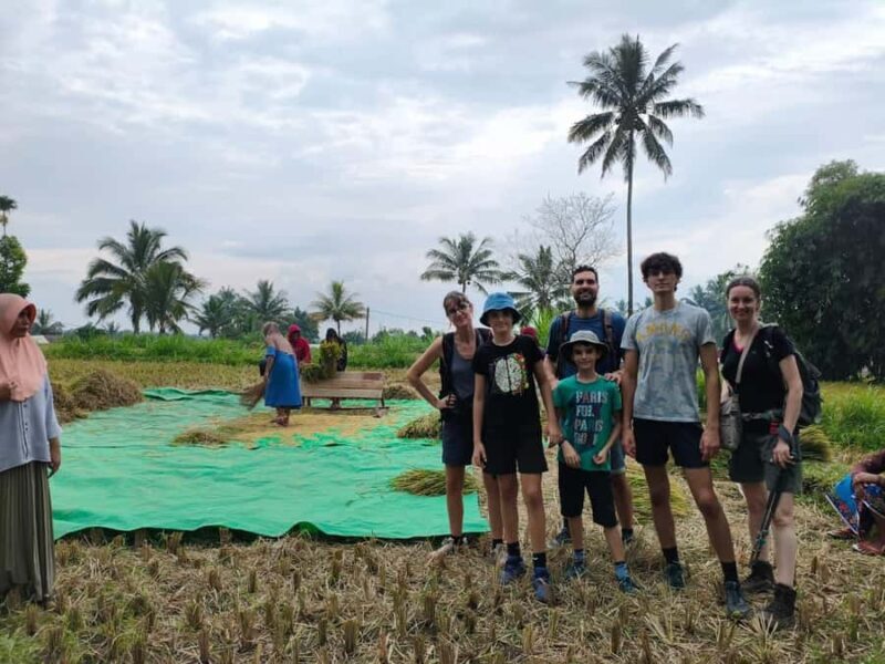 Tetebatu Panorama Walk: Rice Fields, Waterfall & Monkeys - Who Is This Tour Best For?