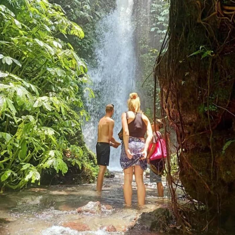 Tetebatu: Rice Fields, Villages, and Waterfalls Tour - The Detailed Itinerary Breakdown