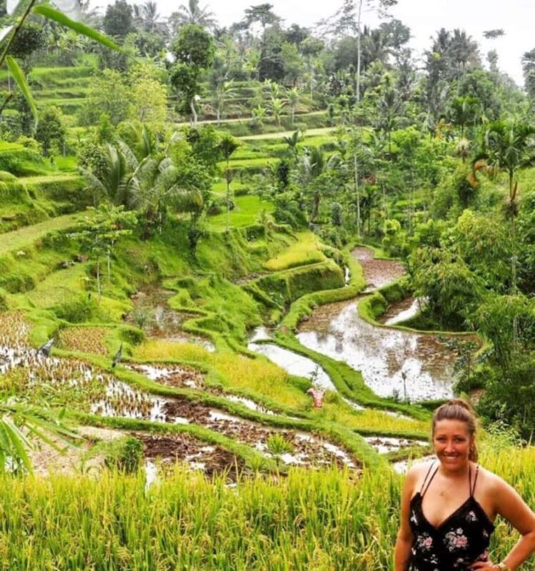 Tetebatu: Rice Fields, Villages, and Waterfalls Tour - Price & Value