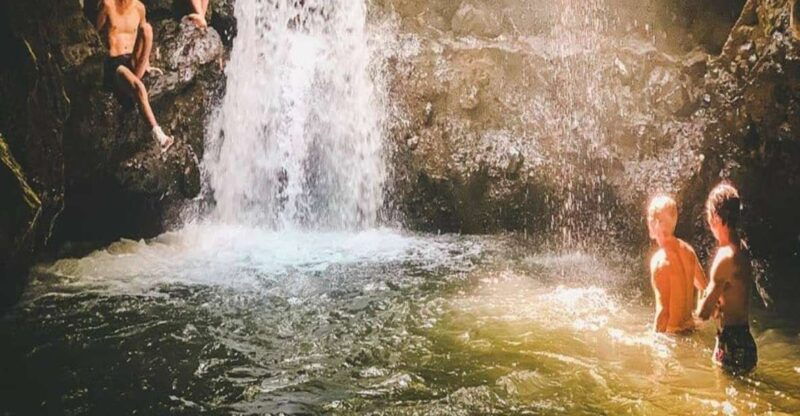 tetebatu-rice-fields-waterfall-monkey-forest-day-tour