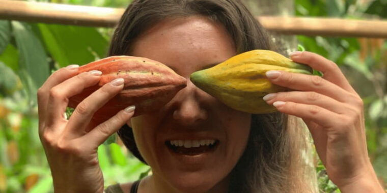 tetebatu-rice-fields-waterfall-monkey-forest-day-tour