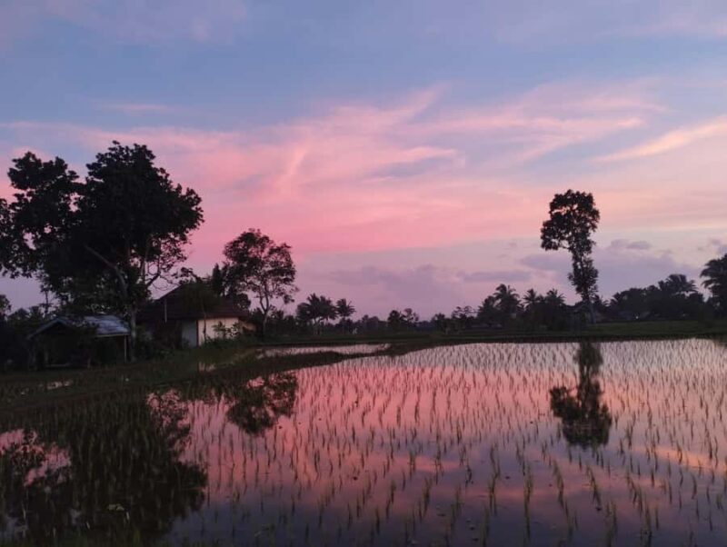 Tetebatu : Ricefield tour,waterfall and monkey forest - An In-Depth Look at the Tetebatu Tour