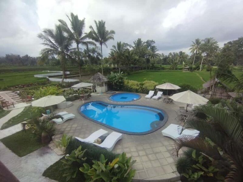 Tetebatu : Ricefield tour,waterfall and monkey forest - Final Thoughts