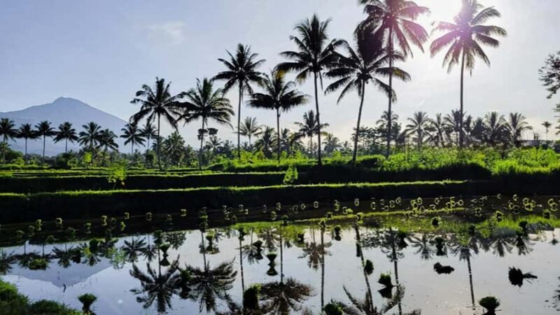 Tetebatu : Ricefield tour,waterfall and monkey forest - FAQs