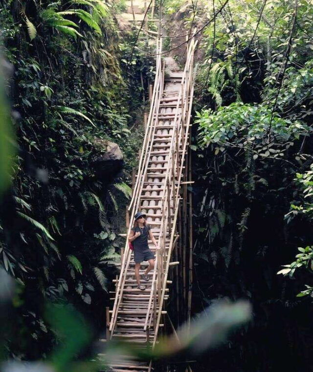 tetebatu-walk-on-rice-terrace-waterfall-and-black-mongky