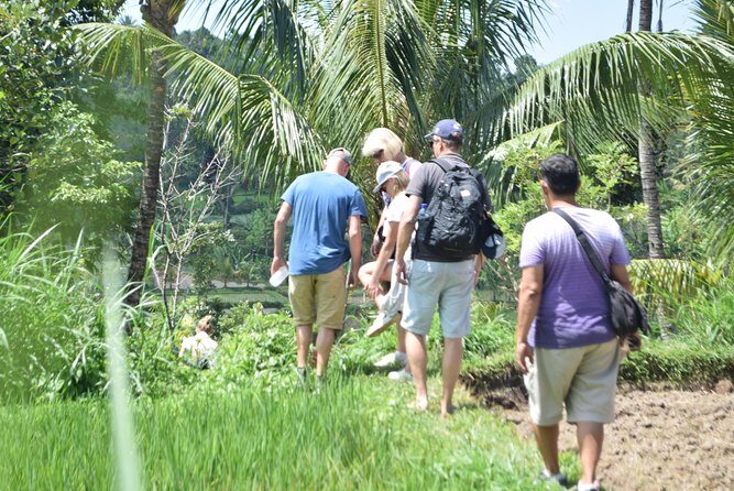 Tetebatu Walking Tour - Rice Terraces, Waterfall & Monkey Forest - A Deep Dive into the Tetebatu Experience